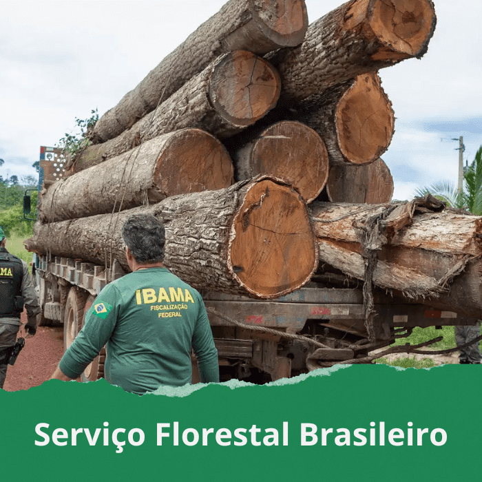 Serviço Florestal Brasileiro